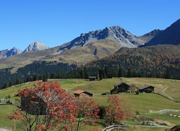 switzerland/arosa/attraction/alpinum-maran