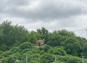 romania/calarasi/attraction/zoo-garden