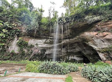 brazil/serra-da-canastra-national-park/attraction/palhares-cave-municipal-park