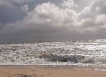 florida/st-george-island/attraction/st-george-island-florida