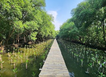 indonesia/jakarta/north-jakarta/attraction/taman-wisata-alam-mangrove-angke-kapuk