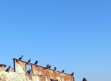 peru/paracas-national-reserve/attraction/barco-hundido