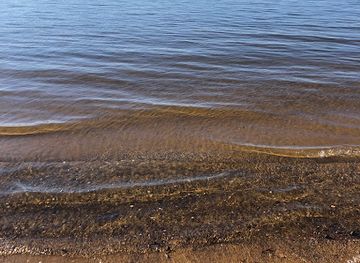 maryland/sandy-point-state-park/attraction/jonas-green-park-beach