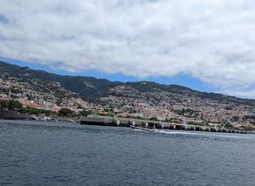 portugal/madeira/attraction/oceansee-whale-watching