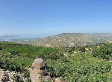 jordan/umm-qais/attraction/matl-tabaria-sohol-am-quis