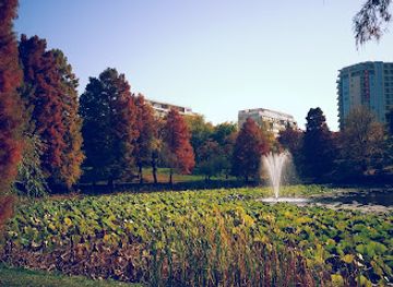 romania/ilfov/attraction/circus-park