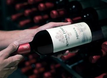 argentina/mendoza/attraction/bodega-achaval-ferrer