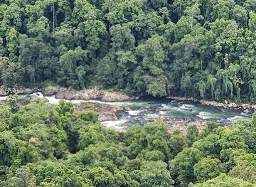 australia/far-north-queensland/attraction/mamu-tropical-skywalk