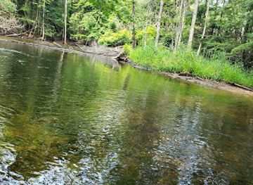 wisconsin/northwoods/attraction/cathedral-pines-state-natural-area