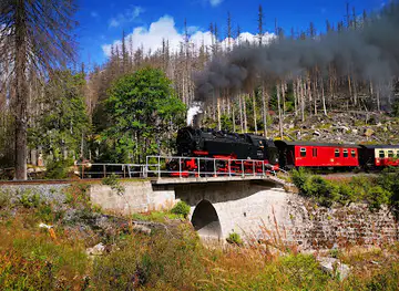 Harz Steam Railway