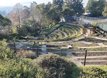 california/berkeley/attraction/codornices-park