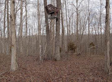 mississippi/natchez-trace-parkway/attraction/devil-s-backbone-state-natural-area