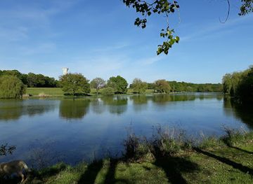 france/loire-valley/attraction/etang-des-heronnieres