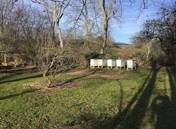 denmark/mariager-fjord/attraction/mariager-klosterhave