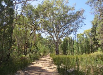 australia/south-australia/attraction/daveys-gully-lookout