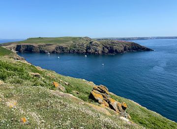 united-kingdom/pembrokeshire-coast-national-park/attraction/skomer-island
