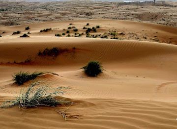 oman/ash-sharqiyah-north-governorate/attraction/arabian-oryx-camp