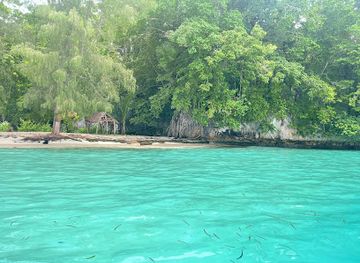 papua-new-guinea/manus-province/attraction/ndrova