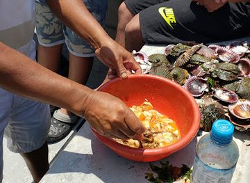 peru/paracas-national-reserve/attraction/criadero-conchas-de-abanico