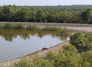 india/sundarbans/attraction/sajnekhali-watch-tower