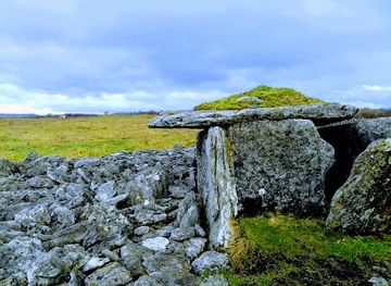 ireland/the-burren/attraction/parknabinnia-wedge-tomb