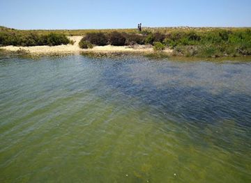 portugal/ria-formosa-natural-park/attraction/slow-life-tours-boat-tours-in-olhao-ria-formosa