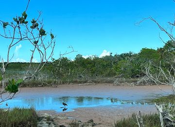 turks-and-caicos-islands/south-caicos/attraction/mud-hole-flamingo-viewing-area