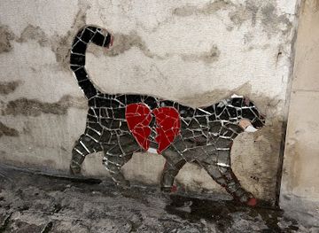 italy/verona/attraction/love-miezekatze