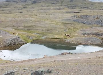 bolivia/la-paz/attraction/laguna-pequena-de-hampaturi-la-paz-bolivia