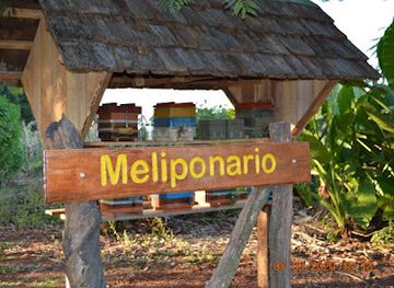 uruguay/northern-region/attraction/meliponario-alto-uruguay