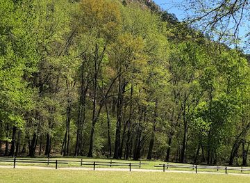 arkansas/pinnacle-mountain-state-park/attraction/kingfisher-trail