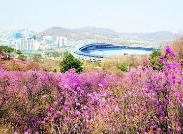 south-korea/incheon/attraction/bucheon-wonmi-park