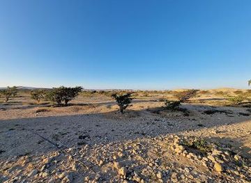 oman/salalah/attraction/wadi-dawkah