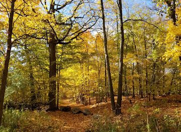 michigan/northern-michigan/attraction/historic-barns-park