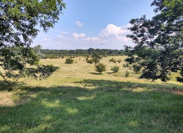 hungary/hajdusag/attraction/hajdubagosi-foldikutya-rezervatum-termeszetvedelmi-terulet