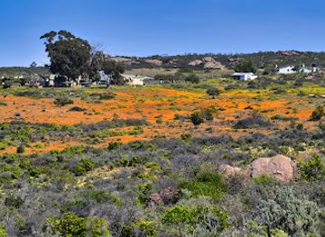 south-africa/namaqualand/attraction/skilpad-office-namaqua-national-park