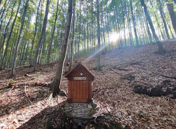 hungary/zemplen-mountains/attraction/emri-forras
