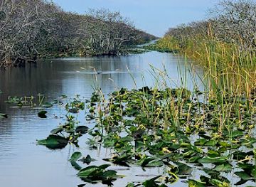 florida/everglades/attraction/captain-willy-everglades-tours