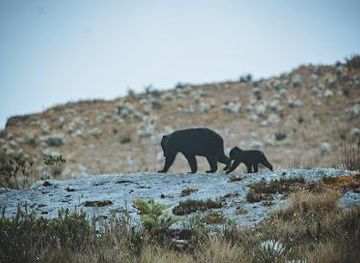 colombia/bogota/attraction/parque-nacional-natural-chingaza