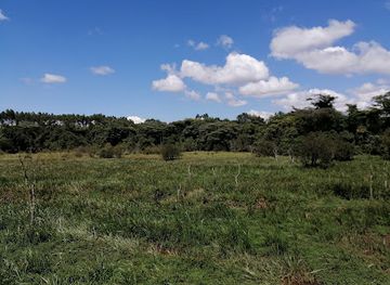 kenya/central-highlands/attraction/saiwa-swamp-national-park