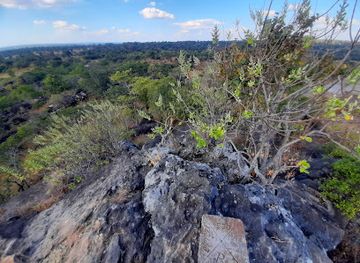 zambia/chimfunshi-wildlife-orphanage/attraction/kimale-viewpoint-hill