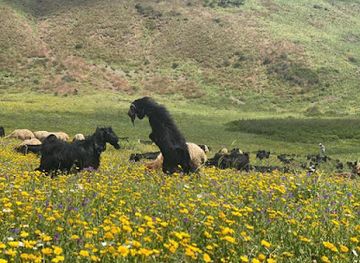 lebanon/marjayoun/attraction/mahmoudia