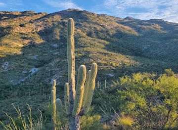 arizona/saguaro-national-park/attraction/loma-alta-trailhead