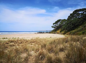 new-zealand/northland/attraction/takou-bay