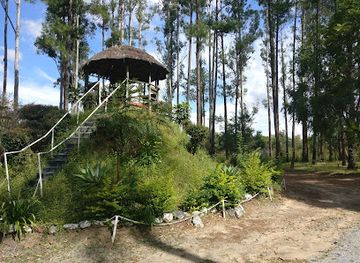 zambia/kasanka-national-park/attraction/dag-hammarskjold-crash-site-memorial