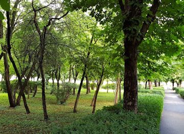 romania/teleorman/attraction/parcul-central