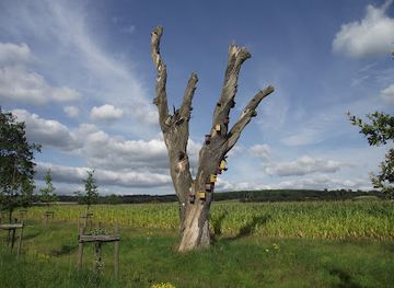 germany/teutoburg-forest/attraction/vogelhaus-eiche