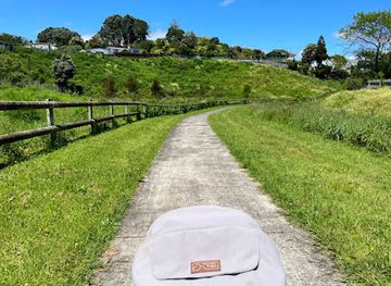 new-zealand/new-plymouth/attraction/wiremu-reserve