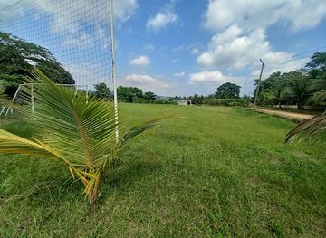 ghana/aburi/attraction/mr-whyte