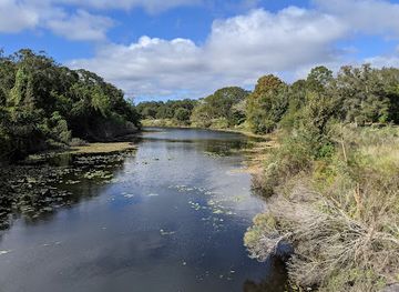 florida/clearwater/attraction/kapok-tree-gardens